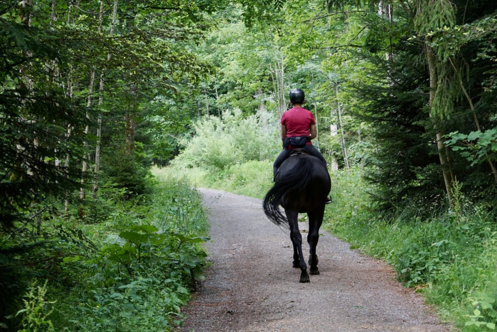 balade cheval yvelines